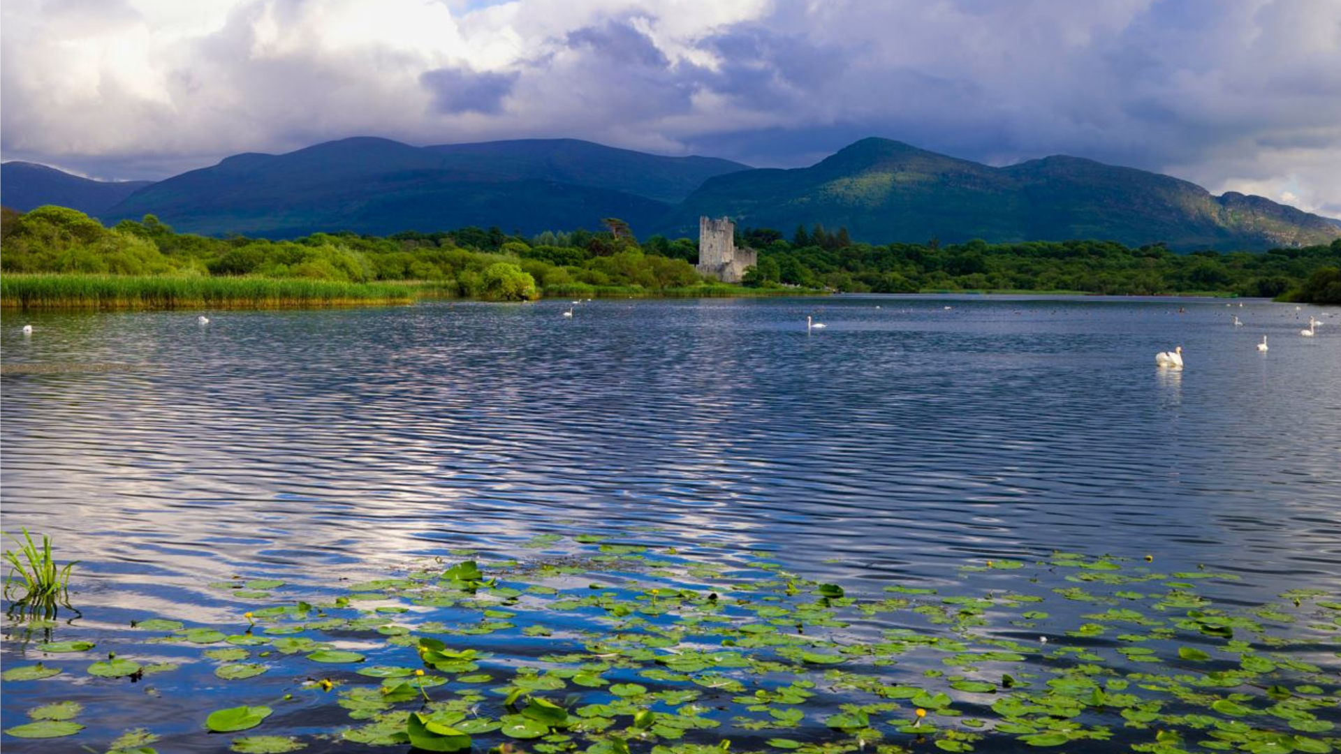 walking tour of kerry